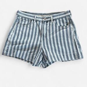 American Eagle Blue and White Striped Denim Shorts